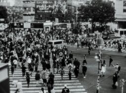 Frank Meza-Chicano Movement
