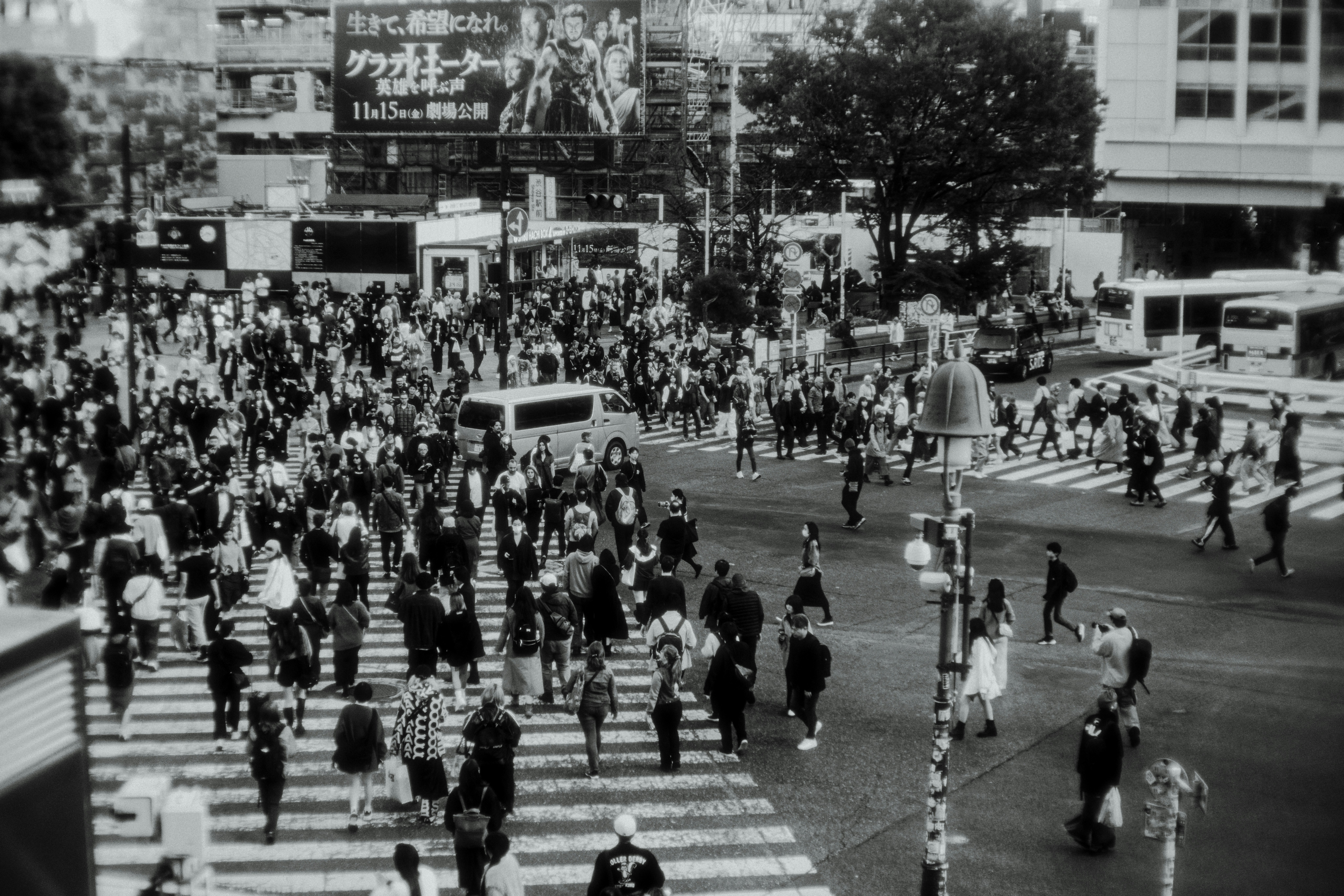 Frank Meza-Chicano Movement